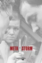 Метамфетаминовый шторм