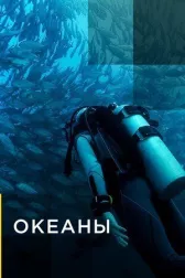 Океаны