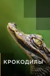 Крокодилы