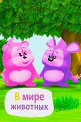 В мире животных