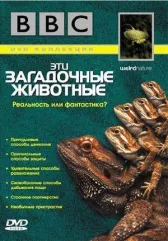 BBC: Эти загадочные животные