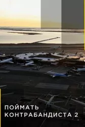 Поймать контрабандиста
