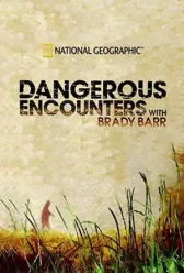 National Geographic. Опасные встречи