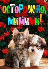 Симпатичные котята и щенки