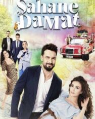 Постер к Замечательный зять смотреть онлайн на HD Rezka