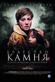 Постер к Братство камня смотреть онлайн на HD Rezka