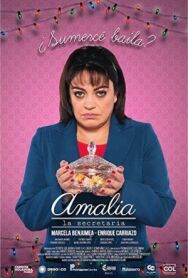 Постер к Секретарша Амалия смотреть онлайн на HD Rezka