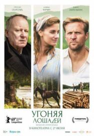 Постер к Угоняя лошадей смотреть онлайн на HD Rezka