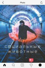 Постер к Социальные животные смотреть онлайн на HD Rezka