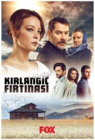 Постер к Шторм ласточки смотреть онлайн на HD Rezka