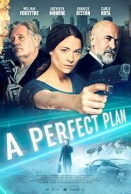 Постер к Идеальный план смотреть онлайн на HD Rezka