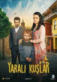 Постер к Раненые птицы смотреть онлайн на HD Rezka