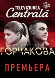 Постер к Следователь Горчакова смотреть онлайн на HD Rezka