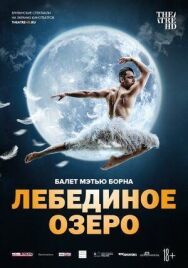 Постер к Мэтью Борн: Лебединое озеро смотреть онлайн на HD Rezka