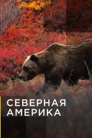 Постер к Северная Америка смотреть онлайн на HD Rezka