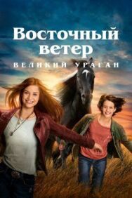 Постер к Восточный ветер. Великий ураган смотреть онлайн на HD Rezka