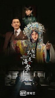 Постер к Зимняя бегония смотреть онлайн на HD Rezka