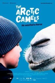 Постер к Мой друг северный верблюд смотреть онлайн на HD Rezka