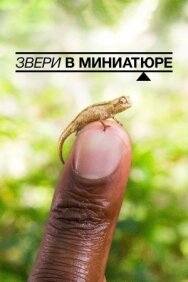 Постер к Звери в миниатюре смотреть онлайн на HD Rezka