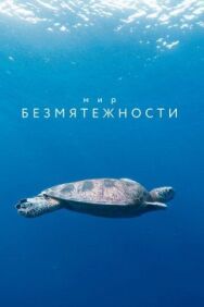 Постер к Мир безмятежности смотреть онлайн на HD Rezka
