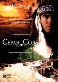 Постер к Серая сова смотреть онлайн на HD Rezka