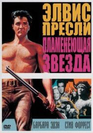 Постер к Пламенеющая звезда смотреть онлайн на HD Rezka