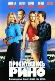 Постер к Проснувшись в Рино смотреть онлайн на HD Rezka