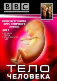 Постер к BBC: Тело человека смотреть онлайн на HD Rezka