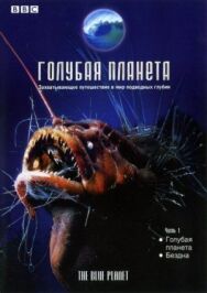 Постер к Голубая планета смотреть онлайн на HD Rezka