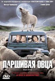 Постер к Паршивая овца смотреть онлайн на HD Rezka
