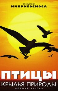 Постер к Птицы: Крылья природы смотреть онлайн на HD Rezka
