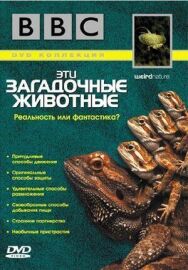 Постер к BBC: Эти загадочные животные смотреть онлайн на HD Rezka