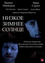 Постер к Низкое зимнее солнце смотреть онлайн на HD Rezka