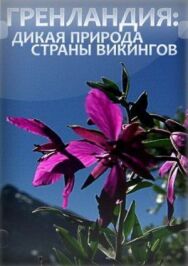 Постер к Гренландия: Дикая природа страны викингов смотреть онлайн на HD Rezka