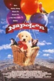 Постер к Наполеон смотреть онлайн на HD Rezka