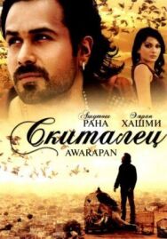Постер к Скиталец смотреть онлайн на HD Rezka