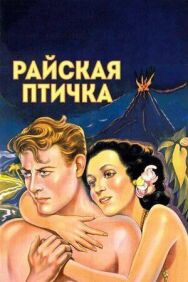 Постер к Райская птичка смотреть онлайн на HD Rezka