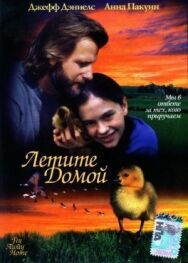 Постер к Летите домой смотреть онлайн на HD Rezka