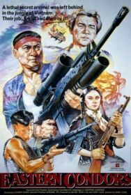 Постер к Восточные кондоры смотреть онлайн на HD Rezka