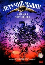 Постер к Летучие мыши: Операция уничтожения смотреть онлайн на HD Rezka