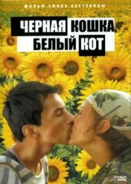 Постер к Черная кошка, белый кот смотреть онлайн на HD Rezka