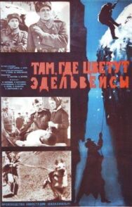 Постер к Там, где цветут эдельвейсы смотреть онлайн на HD Rezka
