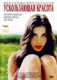 Постер к Ускользающая красота смотреть онлайн на HD Rezka