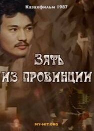 Постер к Зять из провинции смотреть онлайн на HD Rezka