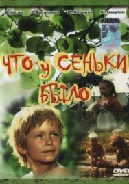Постер к Что у Сеньки было смотреть онлайн на HD Rezka