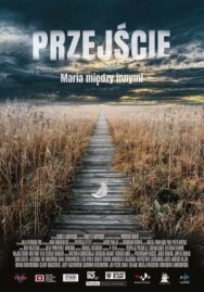 Постер к Переход смотреть онлайн на HD Rezka
