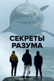 Постер к Секреты разума смотреть онлайн на HD Rezka
