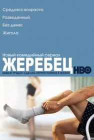 Постер к Жеребец смотреть онлайн на HD Rezka