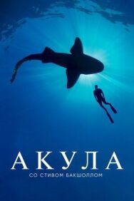 Постер к Акула со Стивом Бакшоллом смотреть онлайн на HD Rezka