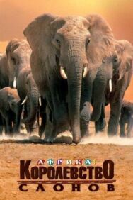 Постер к Африка — королевство слонов смотреть онлайн на HD Rezka